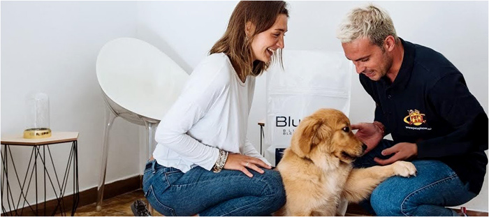 Pet's Planet franchising