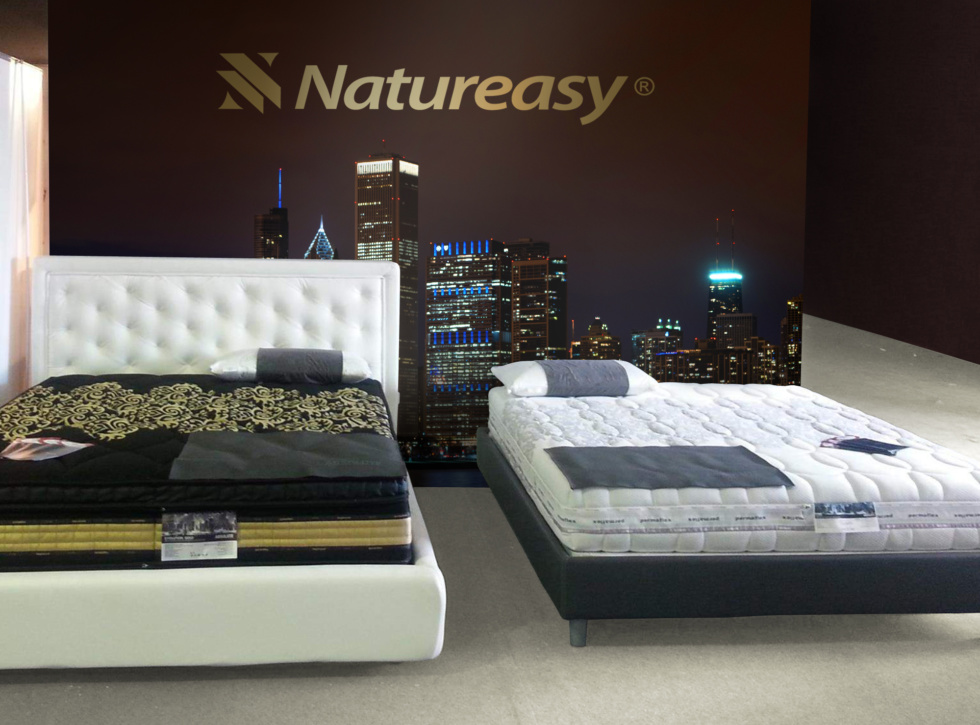 Natureasy franchising